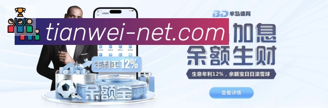 未来规划